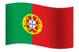 The Portuguese flag, waving
